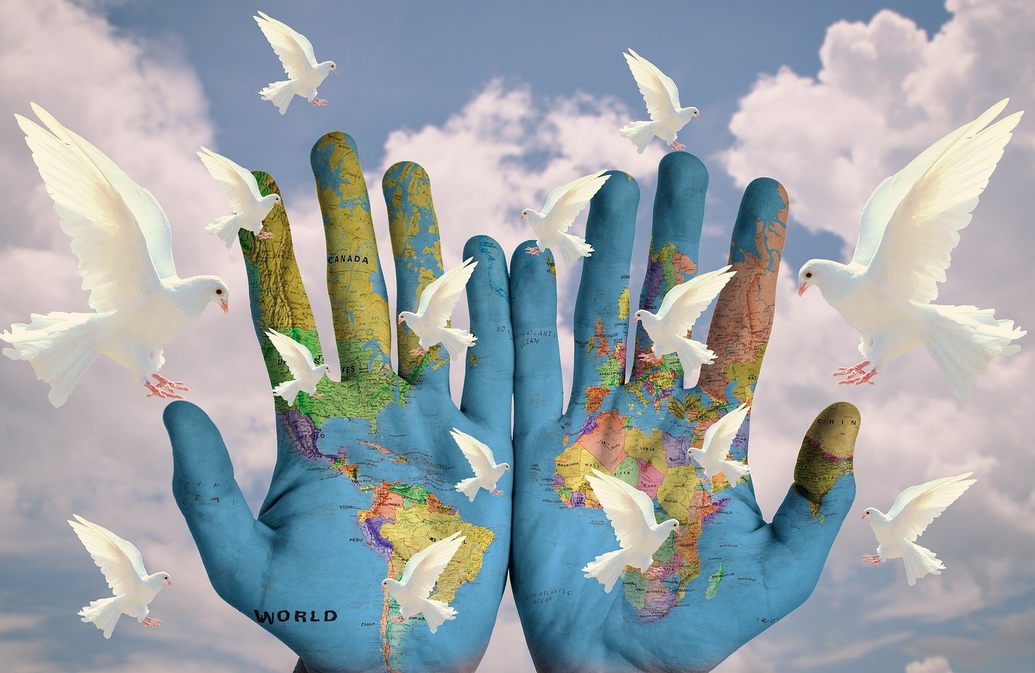 Welt, Taube / pixabay